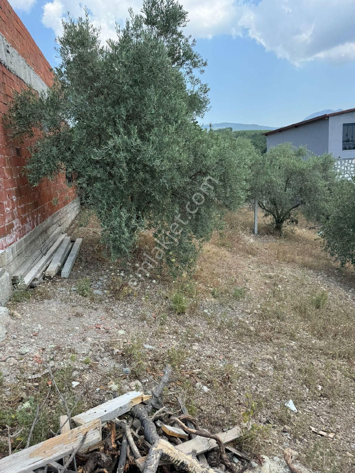 İzmir Buca Belan Başında Satılık Tarla - Görsel 11