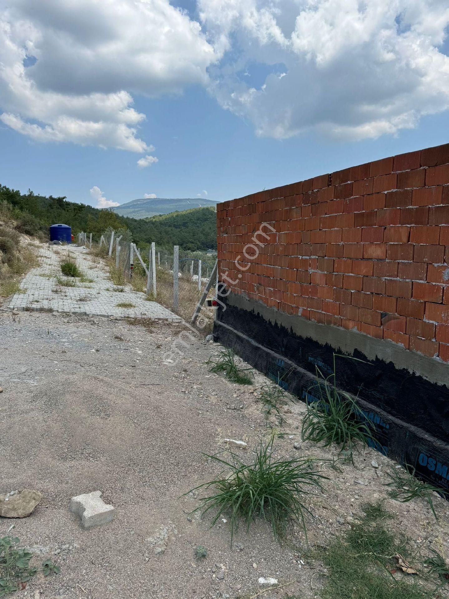 İzmir Buca Belan Başında Satılık Tarla - Görsel 4