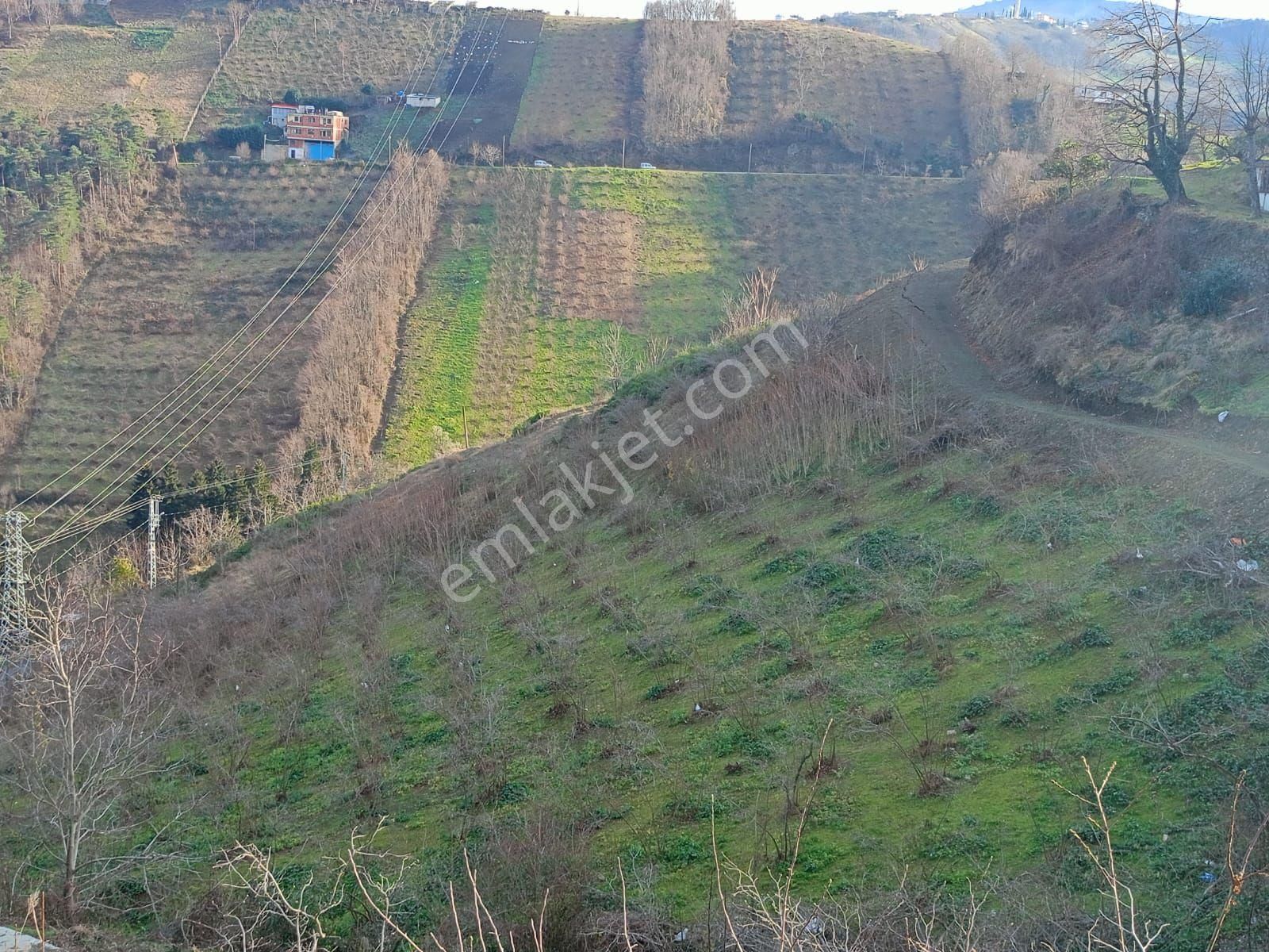 Akçaabat Darıca Satılık Arazi Aydınoğlu Gayrimenkul' Den Akçaabat Darıca' Da Satılık  1503 M2 Deniz Manzaralı Fırsat Arazi