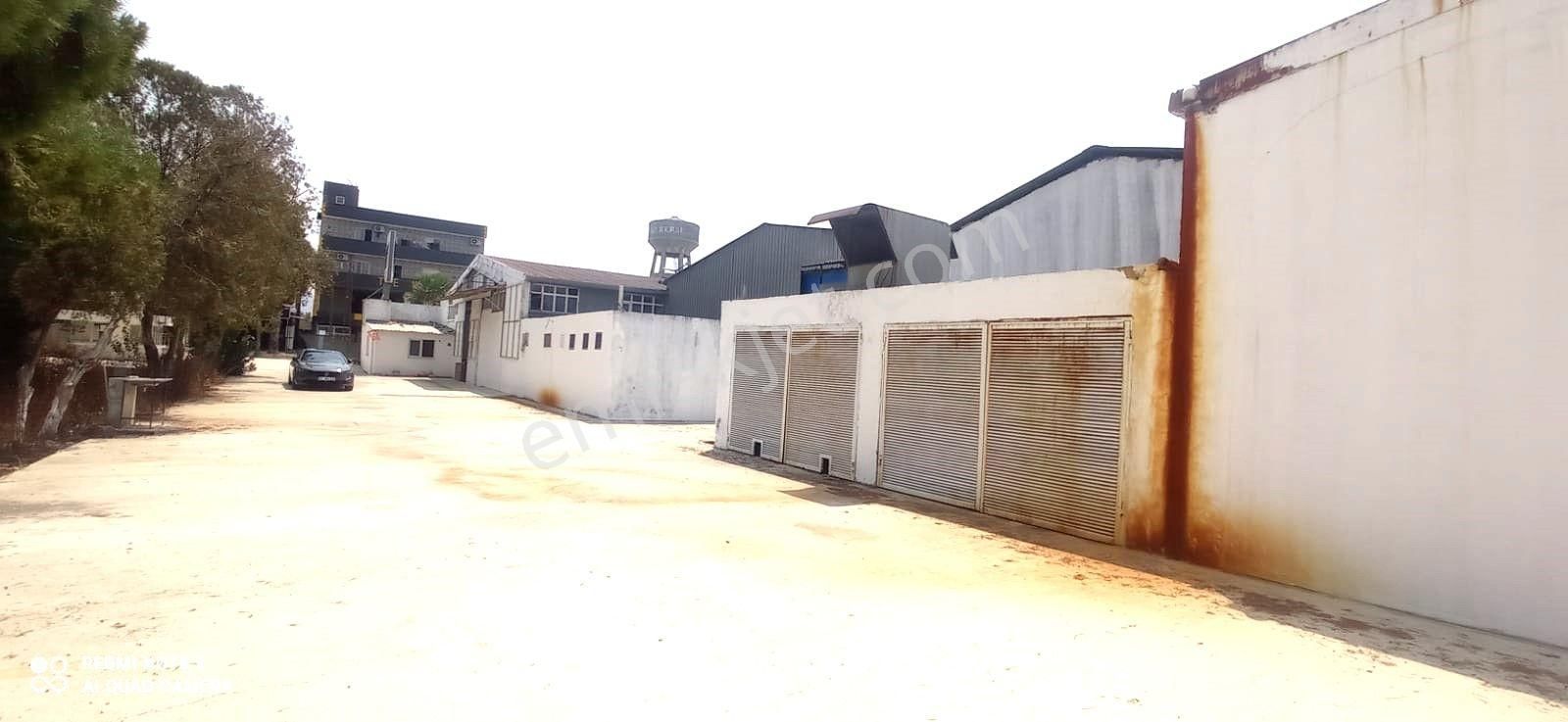 Zorlu Gayrimenkul'den Misis'te 8000m2 İçerisinde 2250m2 Aylık Kiralık İş Yeri - Görsel 18