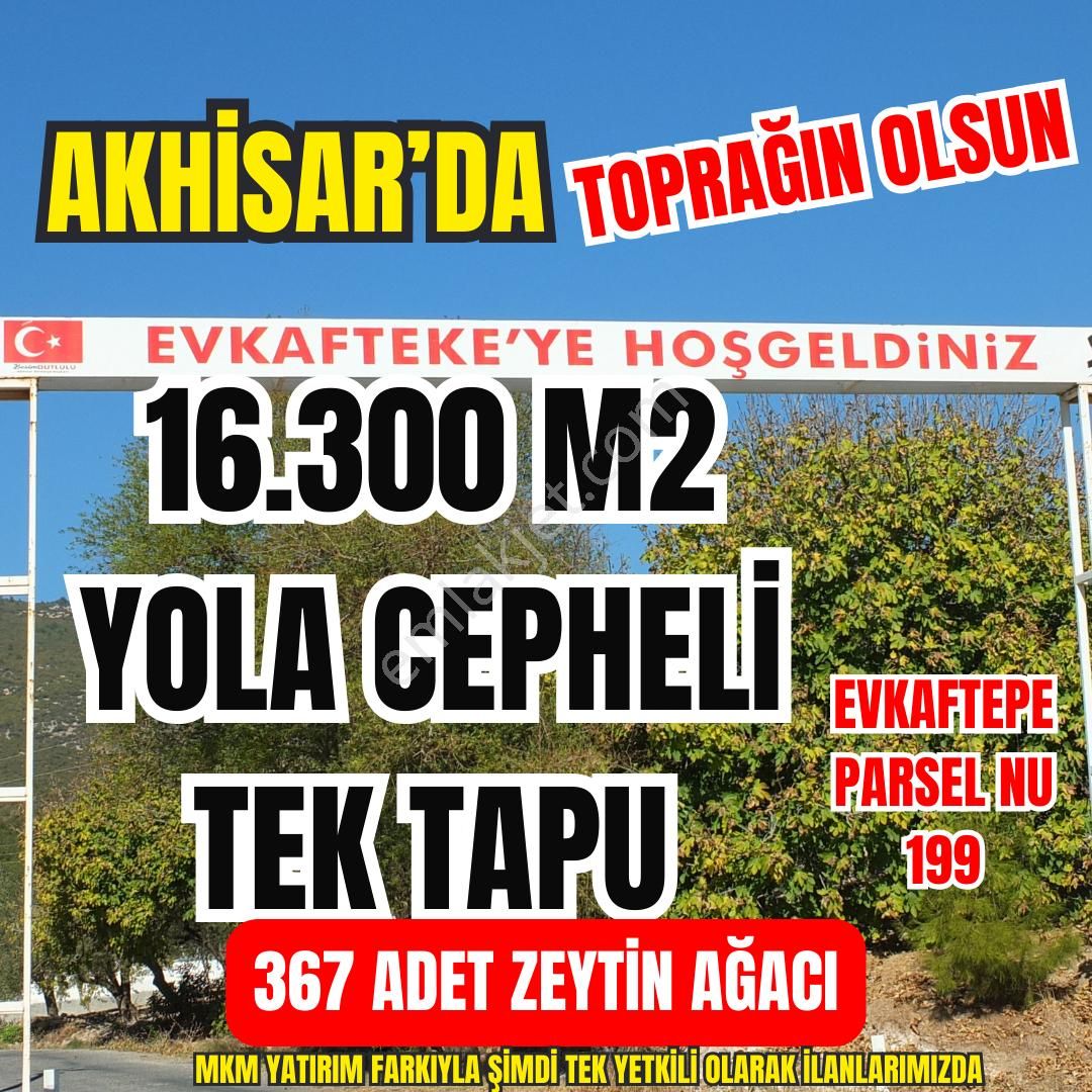 Akhisar Evkafteke Satılık Tarla  EFKAFTEKE KADASTRAL YOL ÜZERİNDE 16300 M2 ZEYTİNLİK