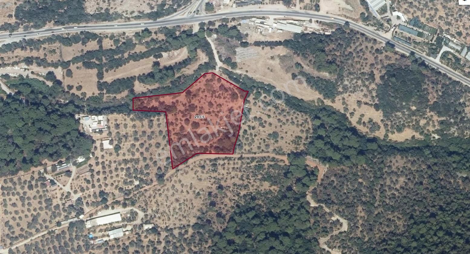 Bodrum Gündoğan'da Satılık 14.354 M2 Arazi - Görsel 6
