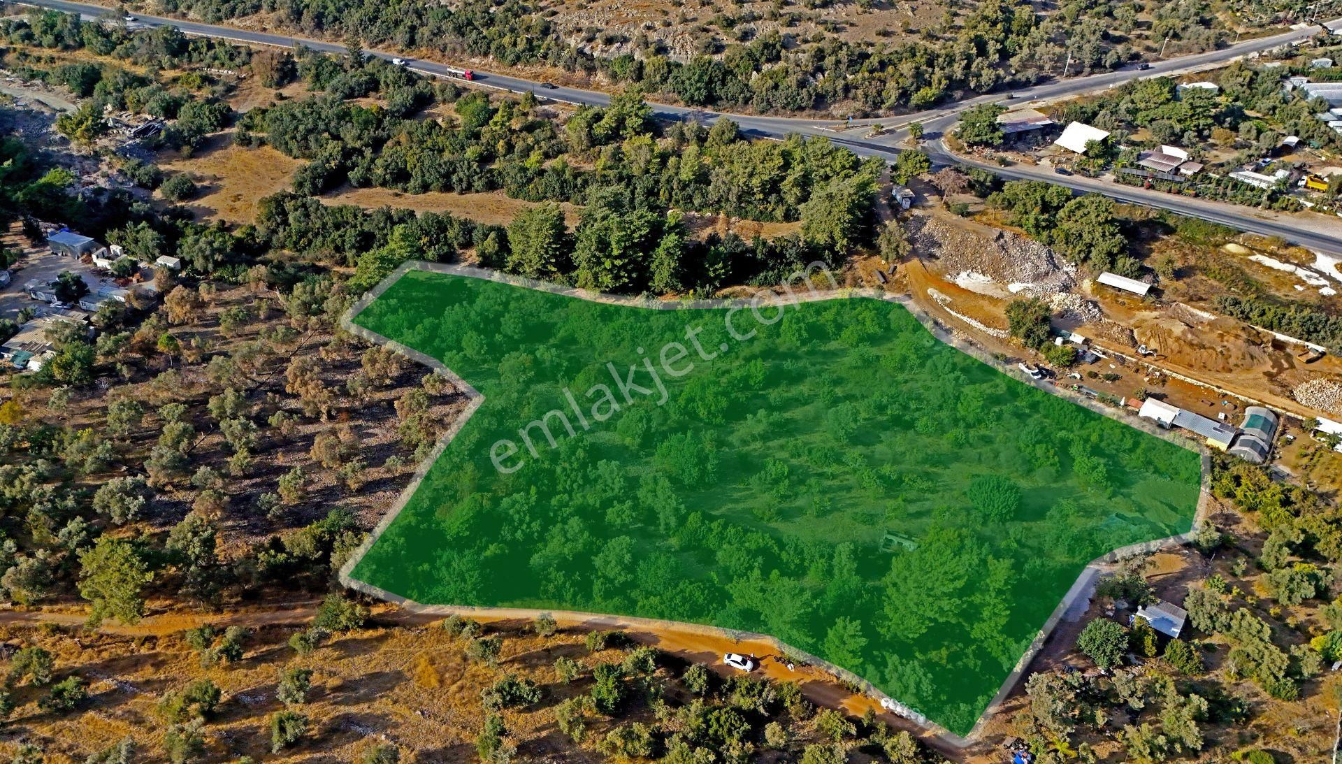 Bodrum Gölköy Satılık Bağ & Bahçe  BODRUM GÜNDOĞAN'DA SATILIK 14.354 m2 ARAZİ