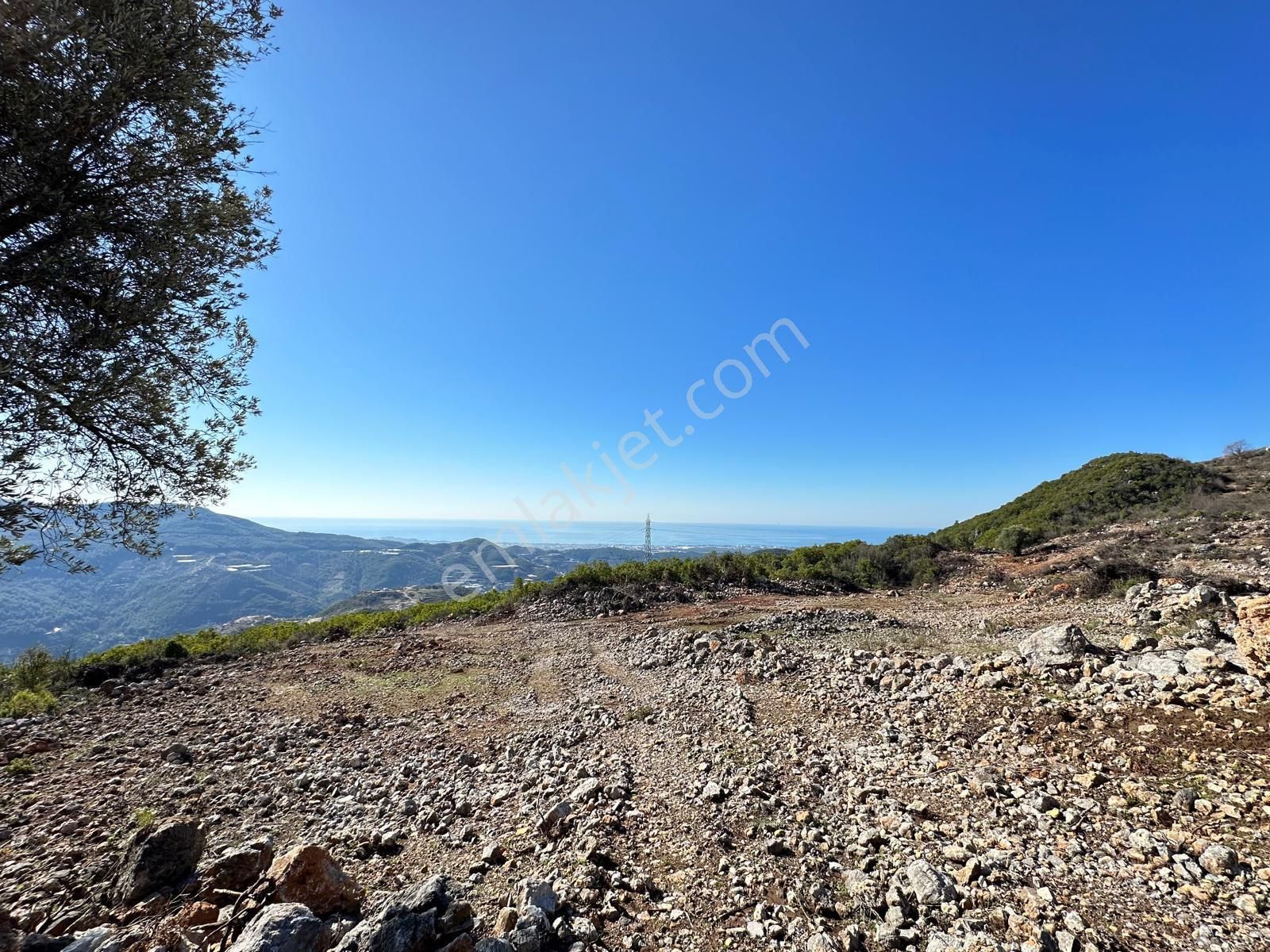 Alanya Güney Satılık Tarla ALANYA’NIN GÜNEY MAHALLESİNDE SATILIK TARLA