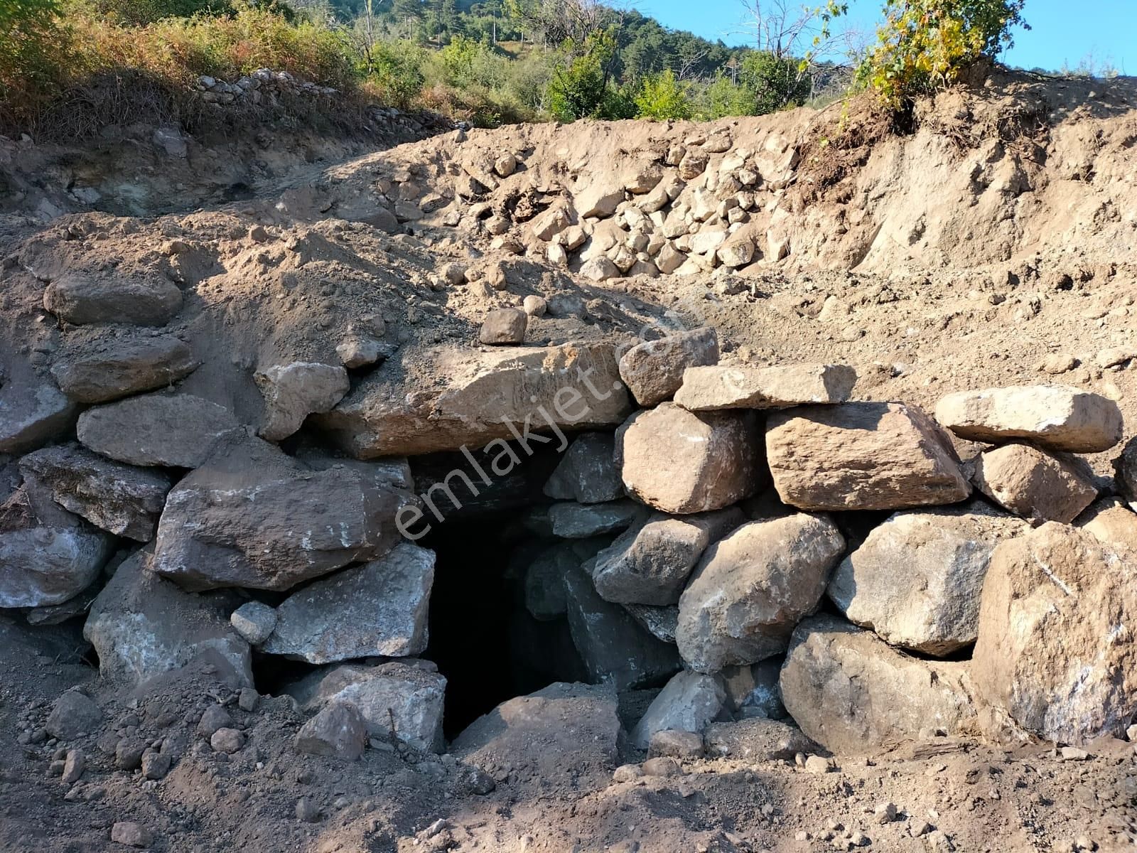 Bozdoğan Madran Satılık Arazi Egelimden Bozdoğan Madran Yaylasında Satılık 3 Dönüm Kestanelik