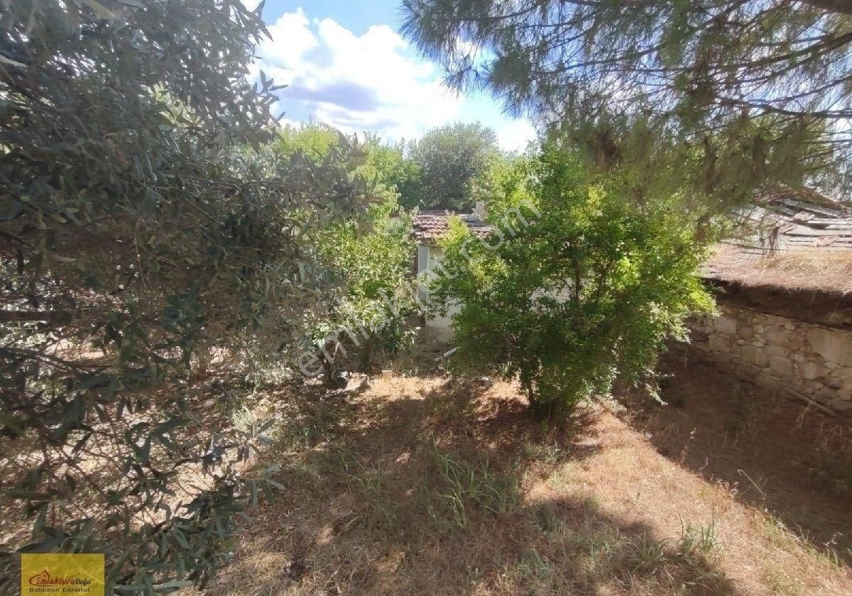 Doğa'dan Havran İnönü Köyünde Geniş Bahçesi Olan Müstakil Ev - Görsel 13