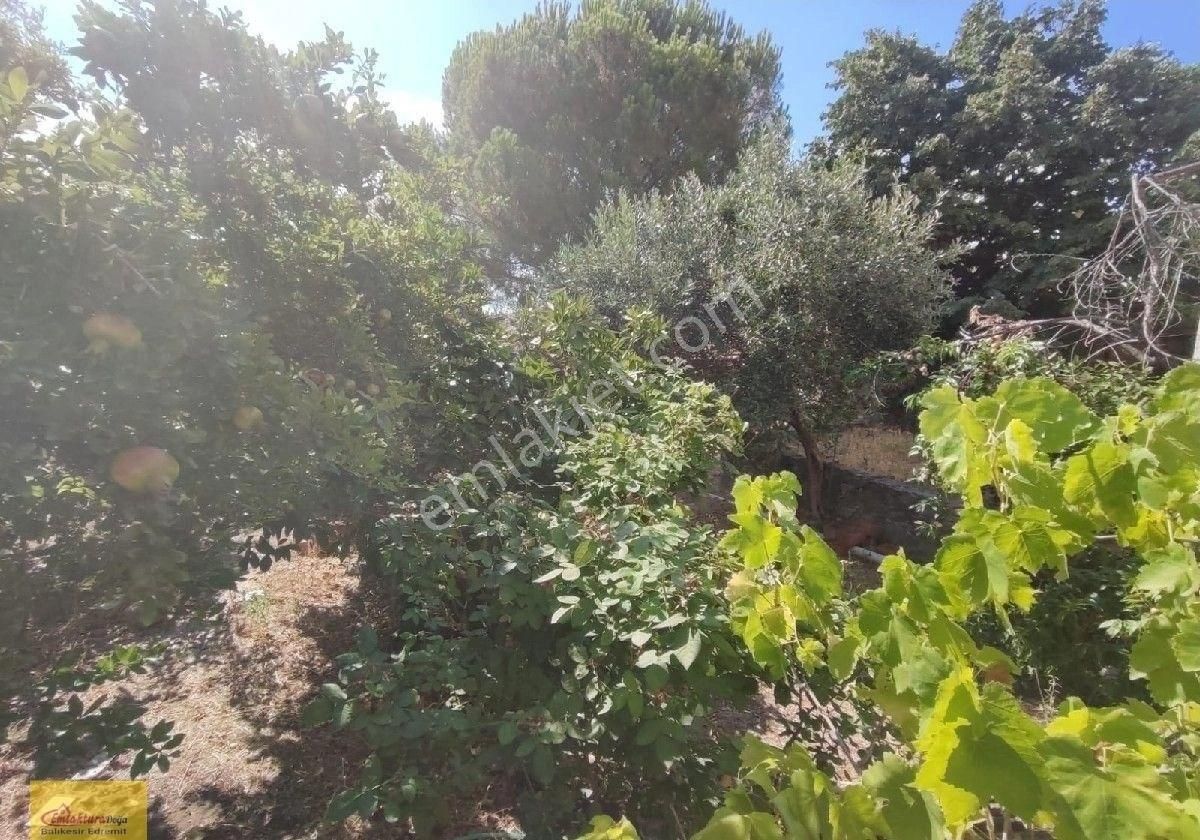 Doğa'dan Havran İnönü Köyünde Geniş Bahçesi Olan Müstakil Ev - Görsel 6