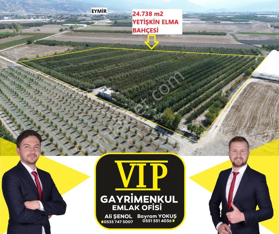 Elmalı Eymir Satılık Tarla VİP GAYRİMENKUL'den EYMİR MAH. 24.738m² YETİŞKİN ELMA BAHÇESİ