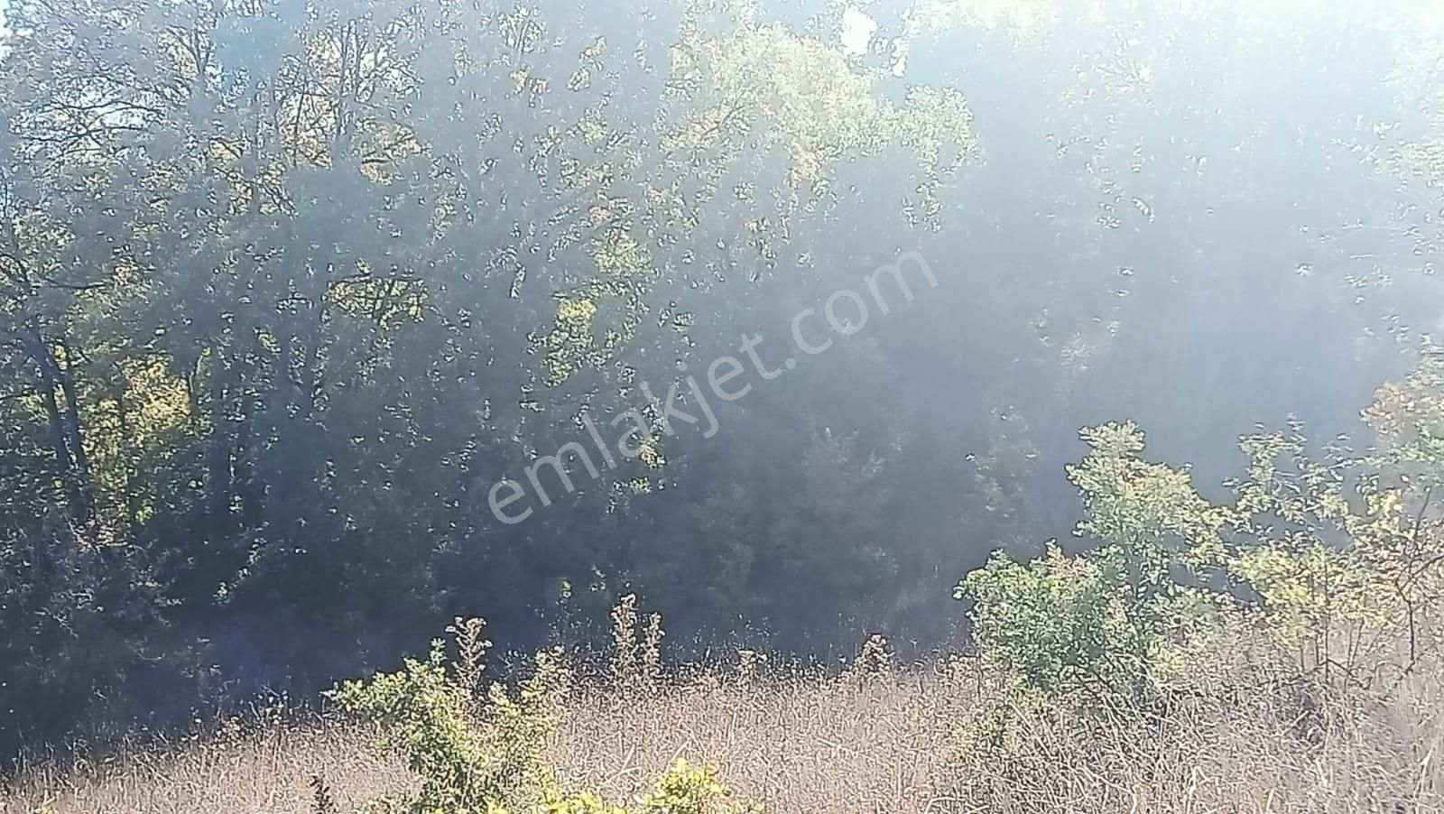 Bursa Mustafakemalpaşa Yenice Mahallesi 7.700 M2 Satılık Tarla - Görsel 32