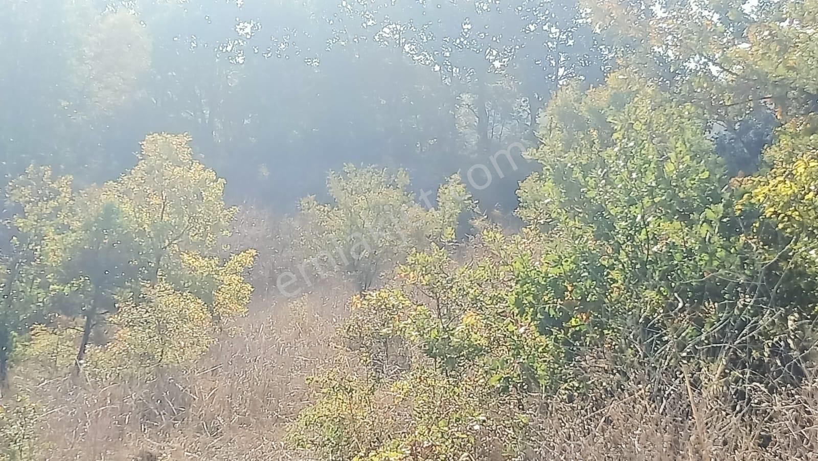 Bursa Mustafakemalpaşa Yenice Mahallesi 7.700 M2 Satılık Tarla - Görsel 28