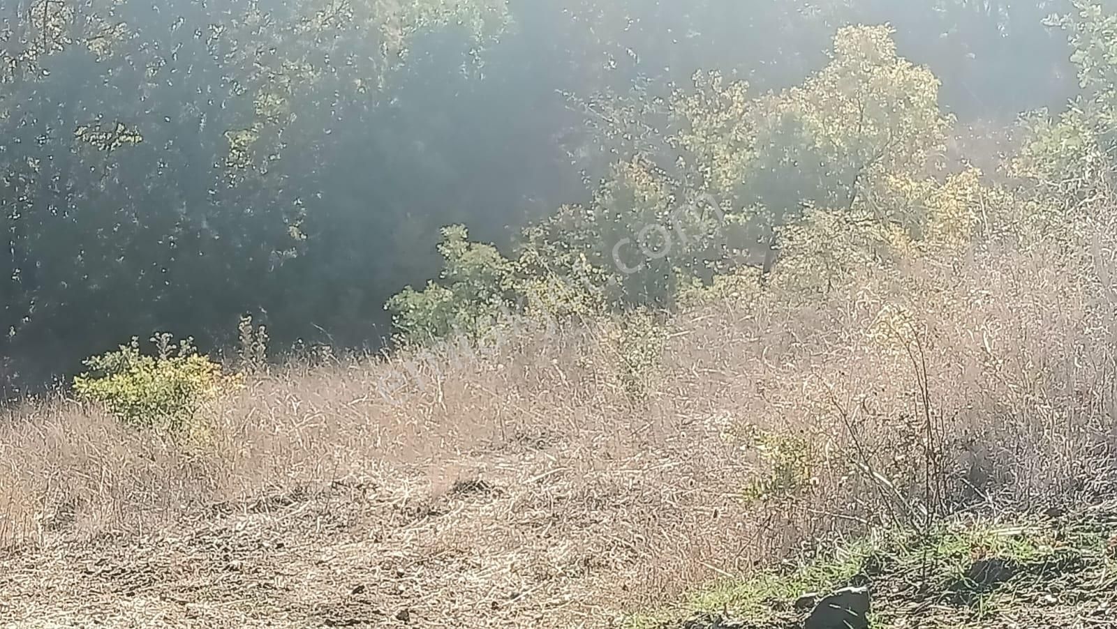 Bursa Mustafakemalpaşa Yenice Mahallesi 7.700 M2 Satılık Tarla - Görsel 26