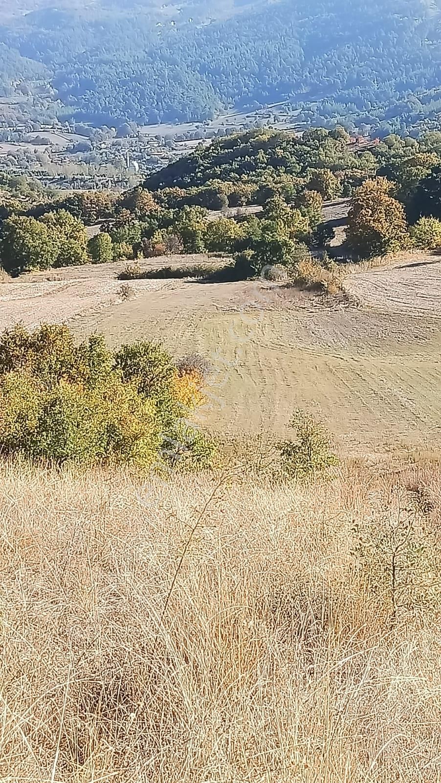Bursa Mustafakemalpaşa Yenice Mahallesi 7.700 M2 Satılık Tarla - Görsel 19
