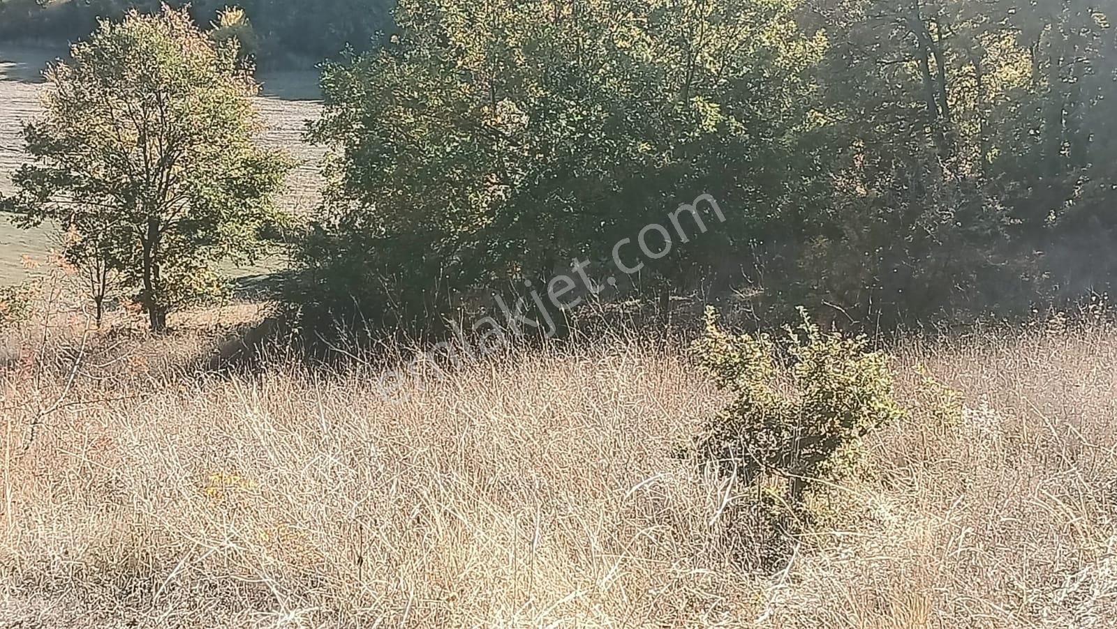 Bursa Mustafakemalpaşa Yenice Mahallesi 7.700 M2 Satılık Tarla - Görsel 18