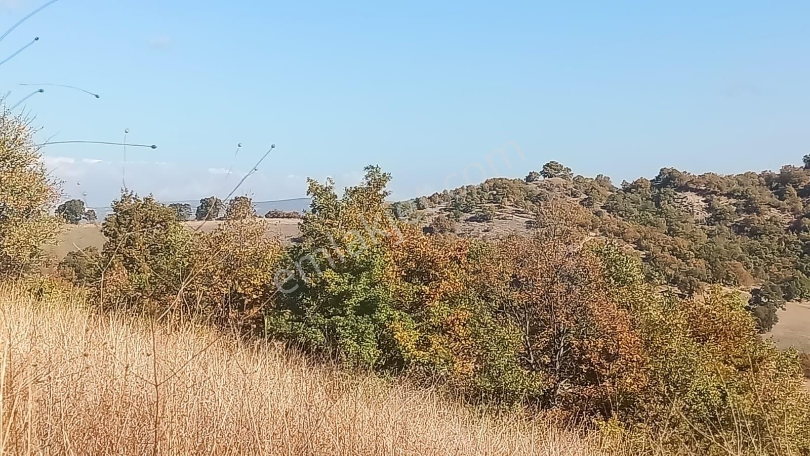 Bursa Mustafakemalpaşa Yenice Mahallesi 7.700 M2 Satılık Tarla - Görsel 8