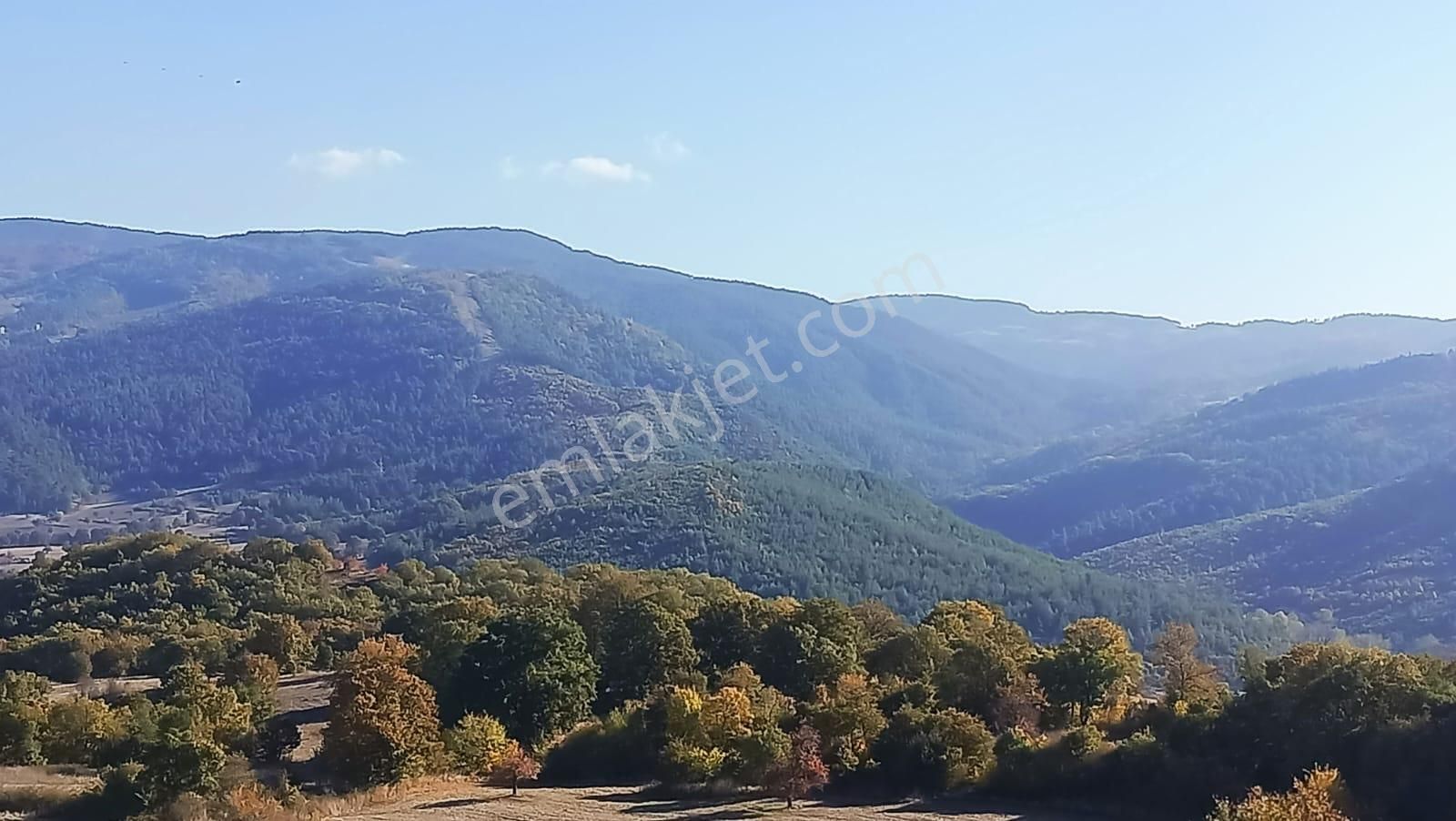 Bursa Mustafakemalpaşa Yenice Mahallesi 7.700 M2 Satılık Tarla - Görsel 23