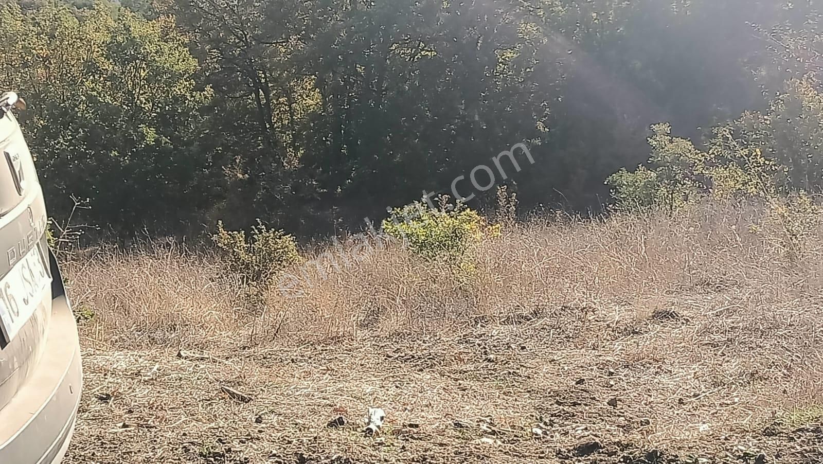 Bursa Mustafakemalpaşa Yenice Mahallesi 7.700 M2 Satılık Tarla - Görsel 27