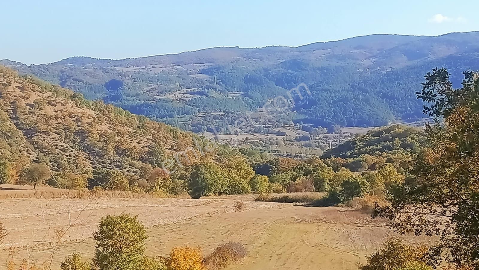 Bursa Mustafakemalpaşa Yenice Mahallesi 7.700 M2 Satılık Tarla - Görsel 7