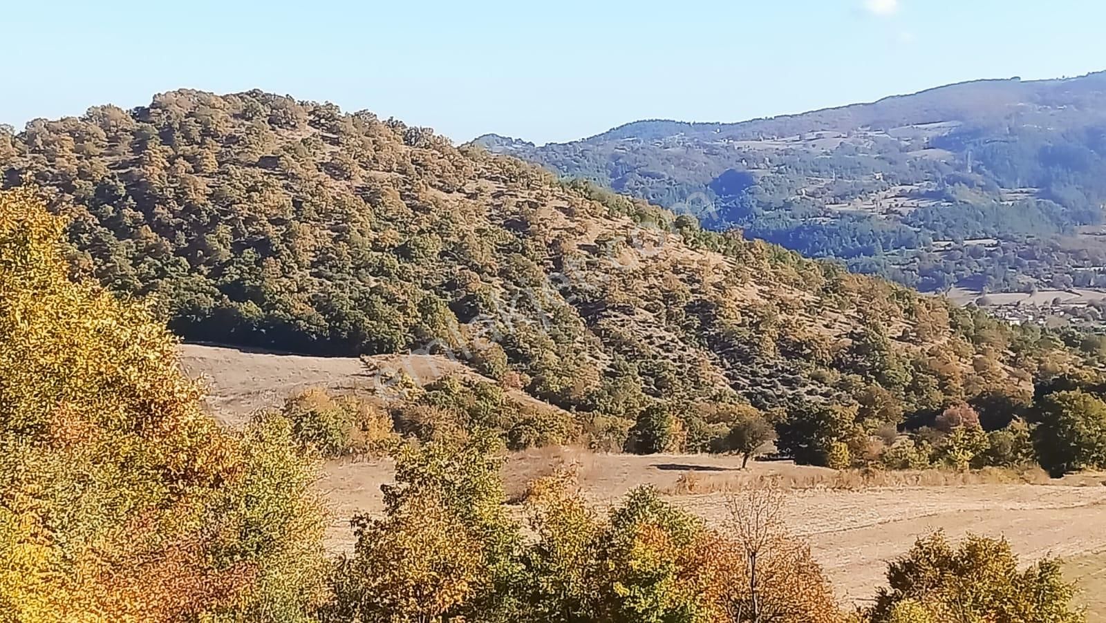 Bursa Mustafakemalpaşa Yenice Mahallesi 7.700 M2 Satılık Tarla - Görsel 24