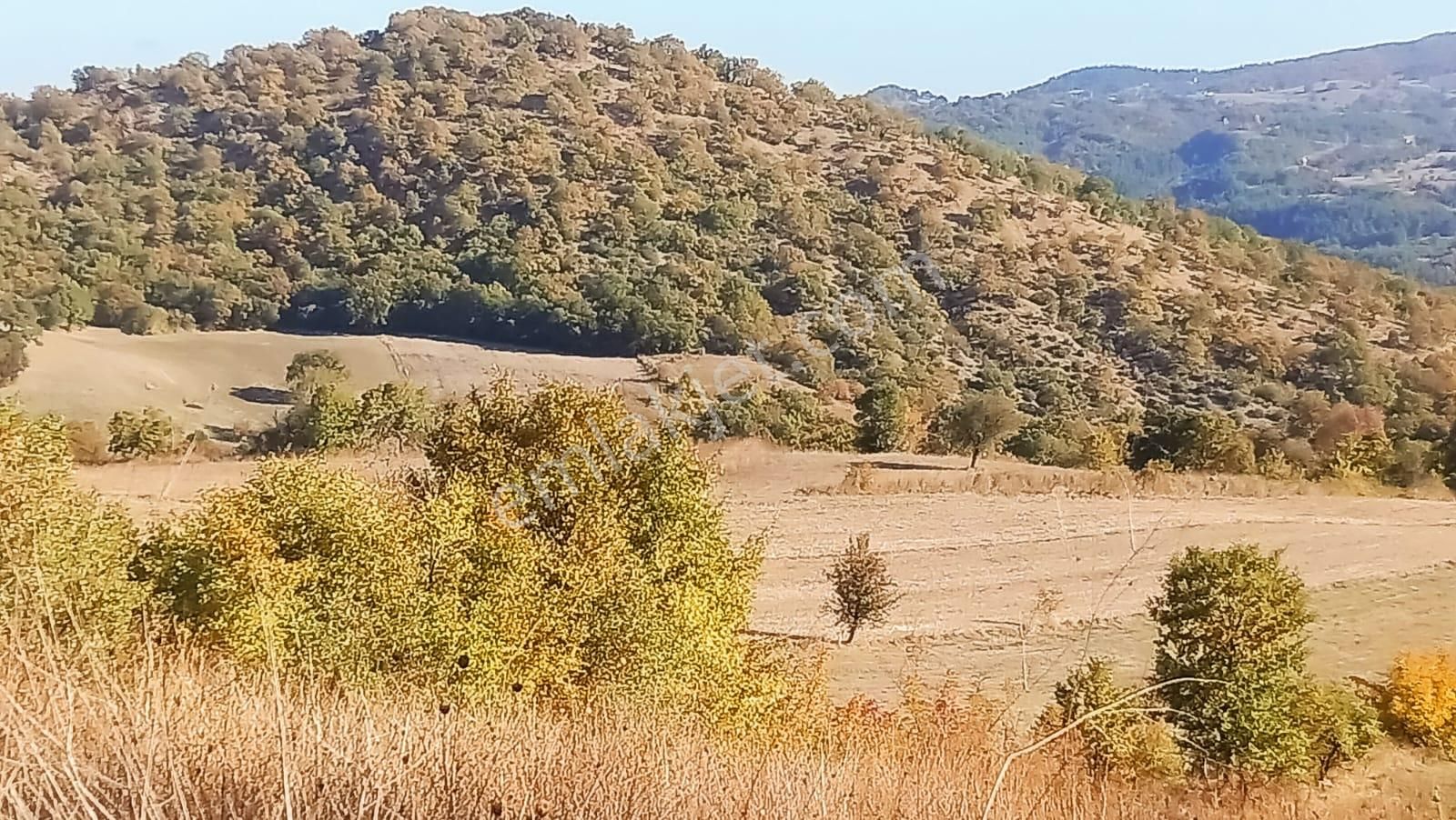 Bursa Mustafakemalpaşa Yenice Mahallesi 7.700 M2 Satılık Tarla - Görsel 10