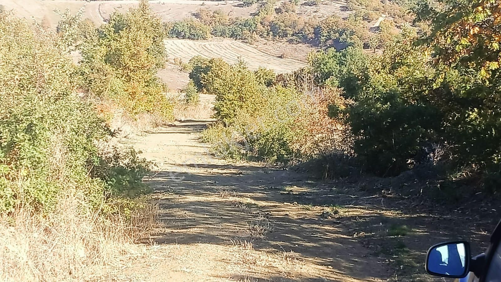 Bursa Mustafakemalpaşa Yenice Mahallesi 7.700 M2 Satılık Tarla - Görsel 14
