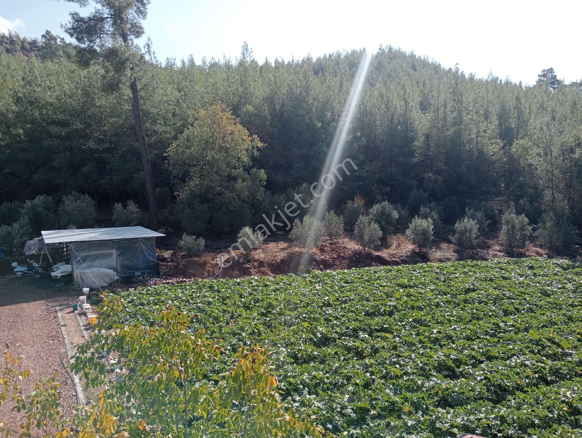 Antalya Kumlucada Satılık Müstakil Bahçe İnceoğlu Emlak - Görsel 22