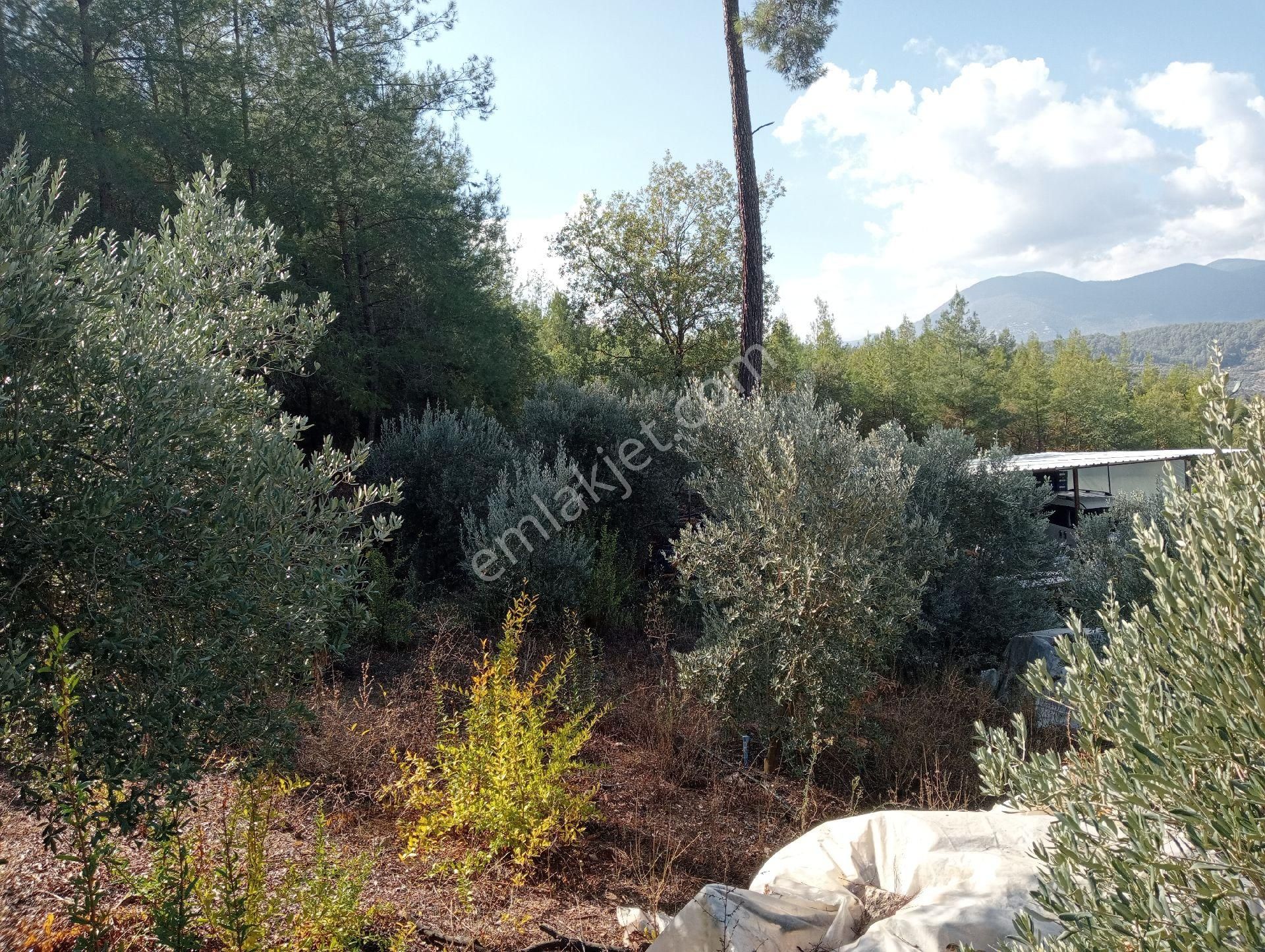 Antalya Kumlucada Satılık Müstakil Bahçe İnceoğlu Emlak - Görsel 9