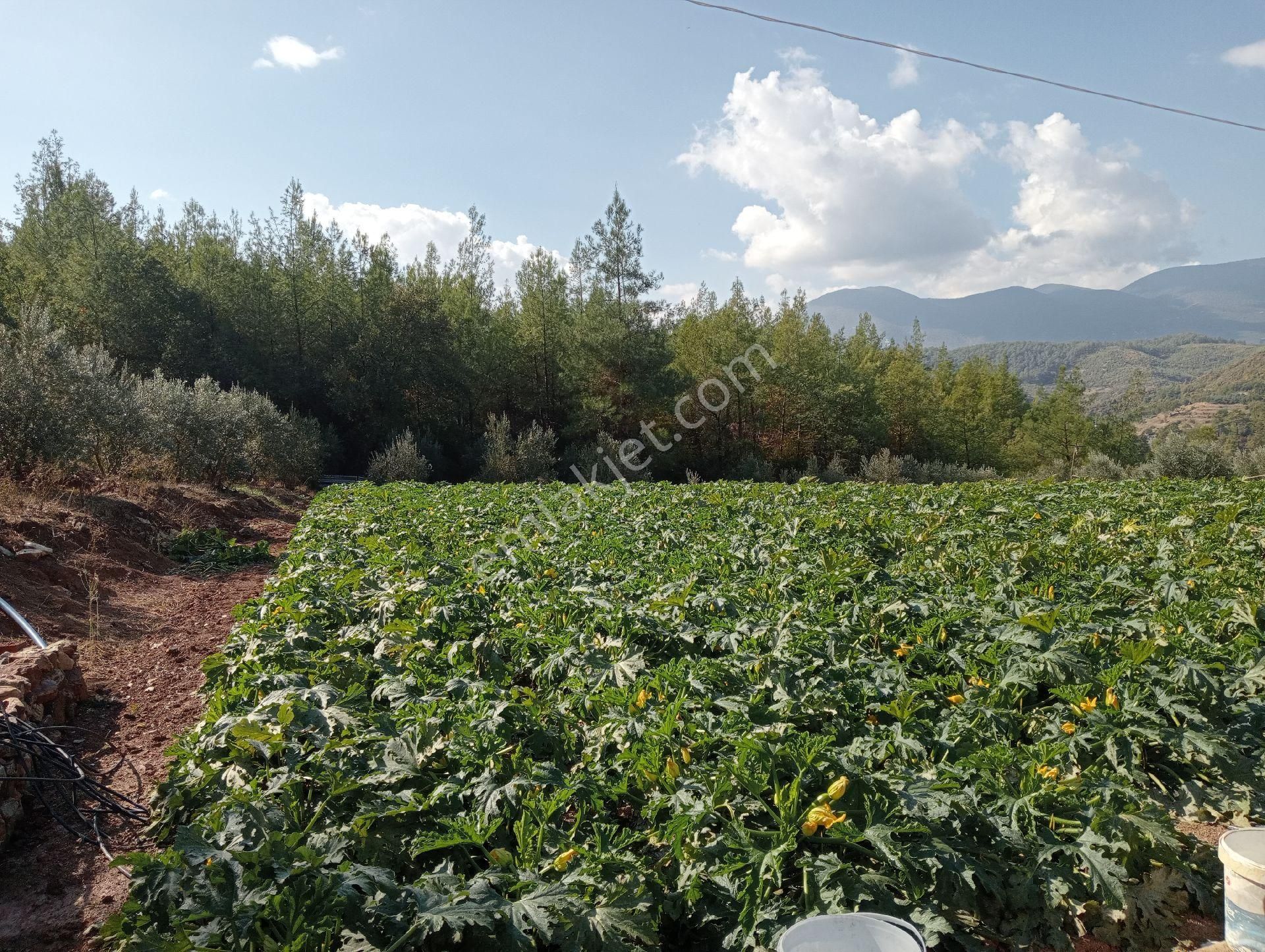 Antalya Kumlucada Satılık Müstakil Bahçe İnceoğlu Emlak - Görsel 18