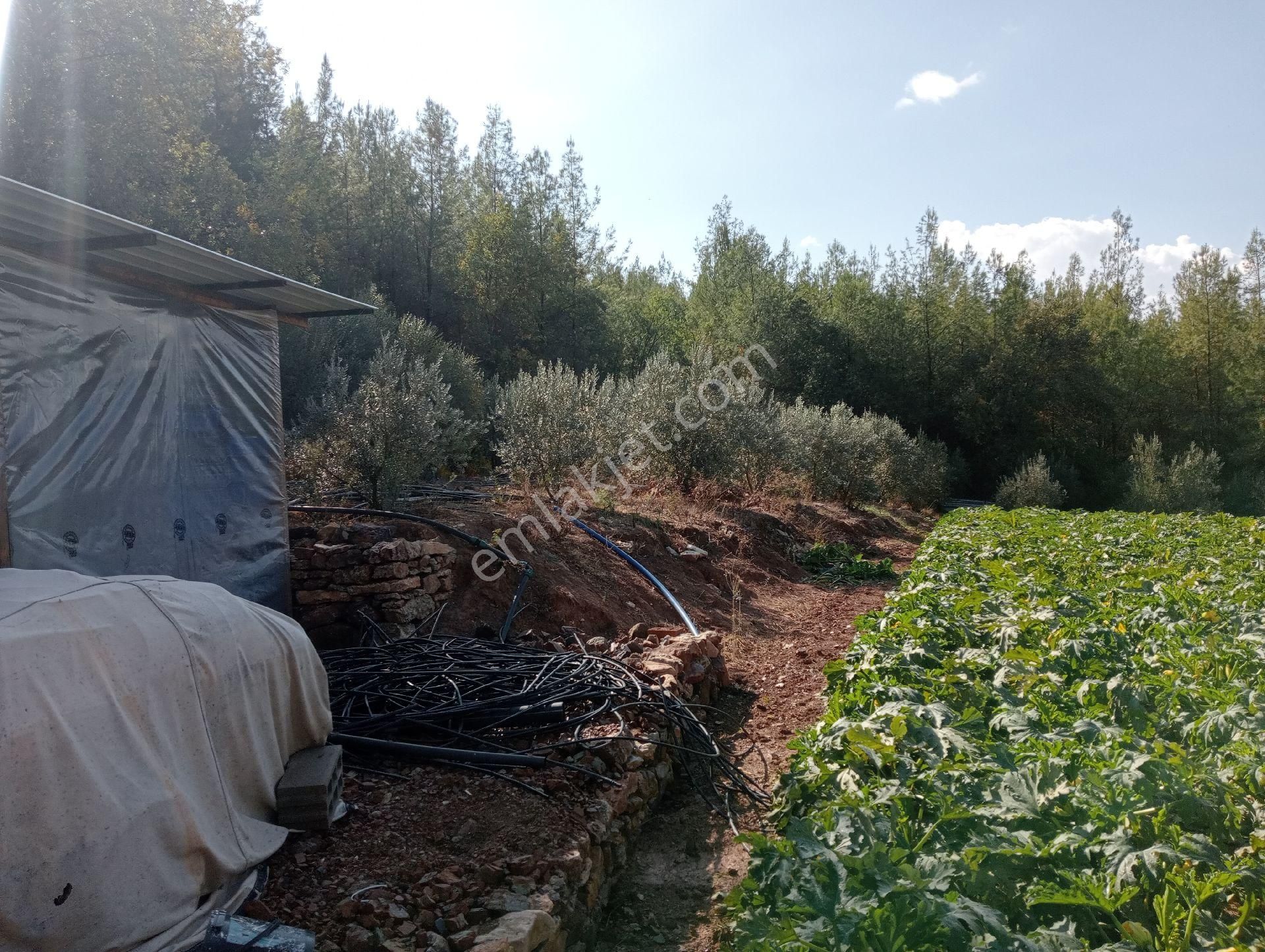Antalya Kumlucada Satılık Müstakil Bahçe İnceoğlu Emlak - Görsel 15