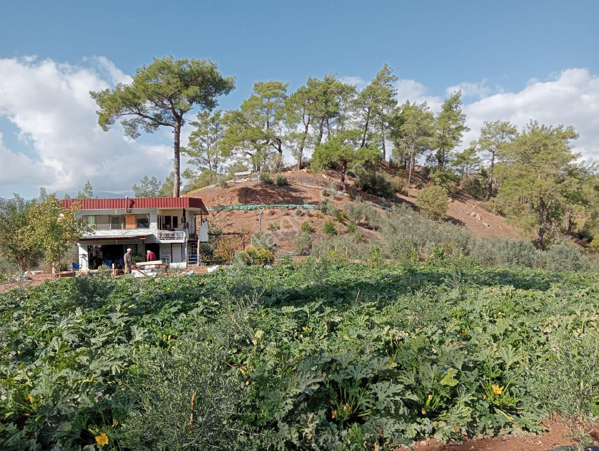 Antalya Kumlucada Satılık Müstakil Bahçe İnceoğlu Emlak - Görsel 4