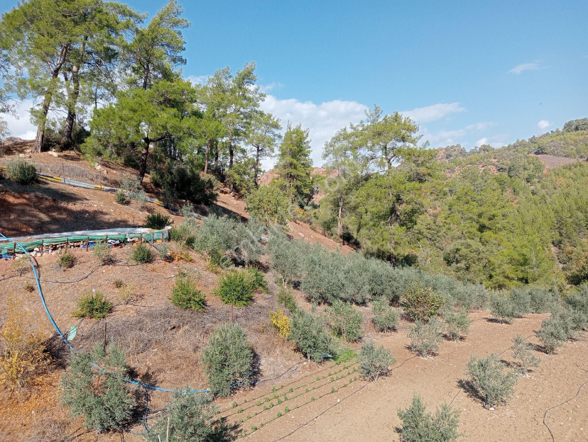 Antalya Kumlucada Satılık Müstakil Bahçe İnceoğlu Emlak - Görsel 26