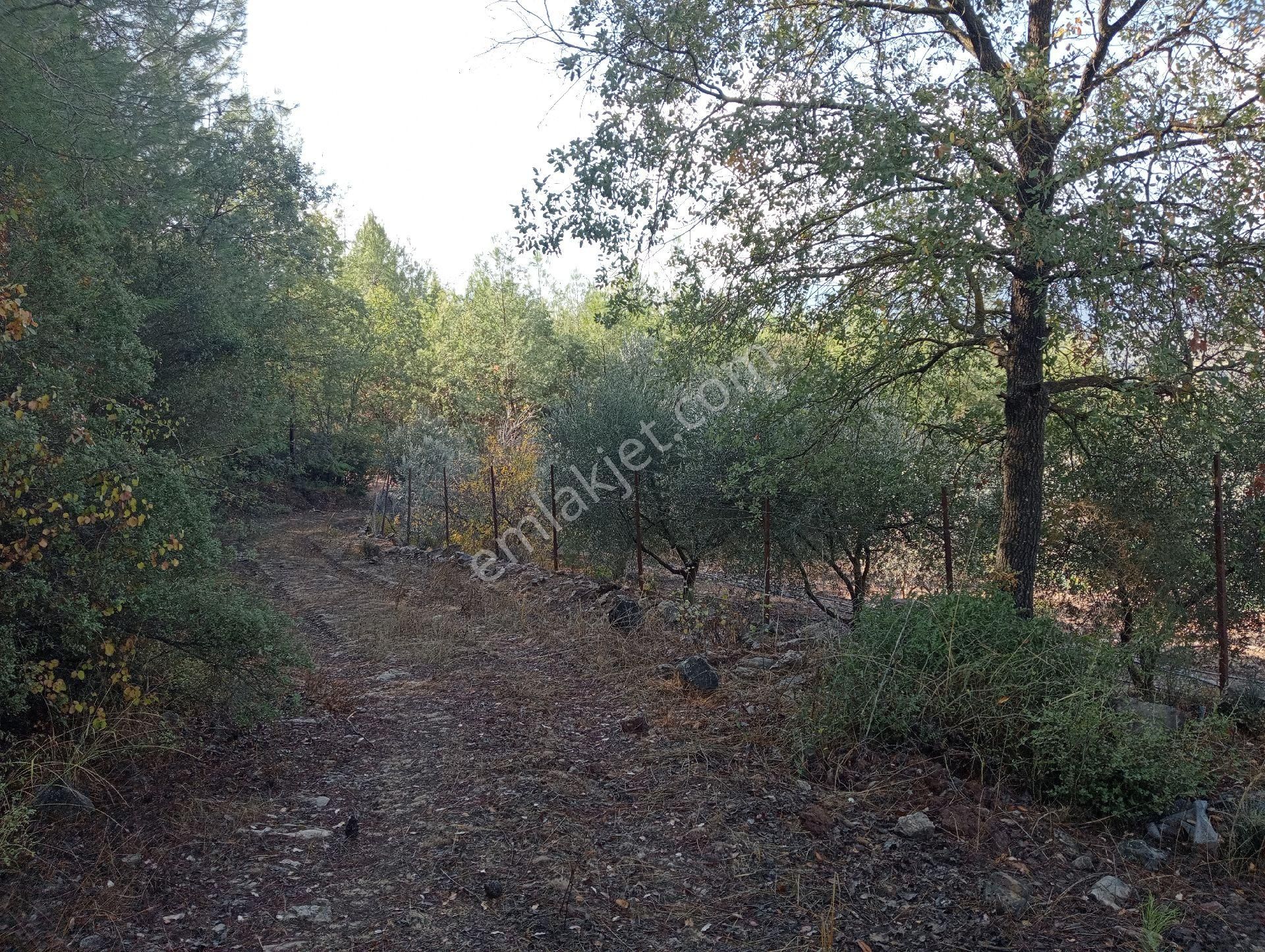 Antalya Kumlucada Satılık Müstakil Bahçe İnceoğlu Emlak - Görsel 10