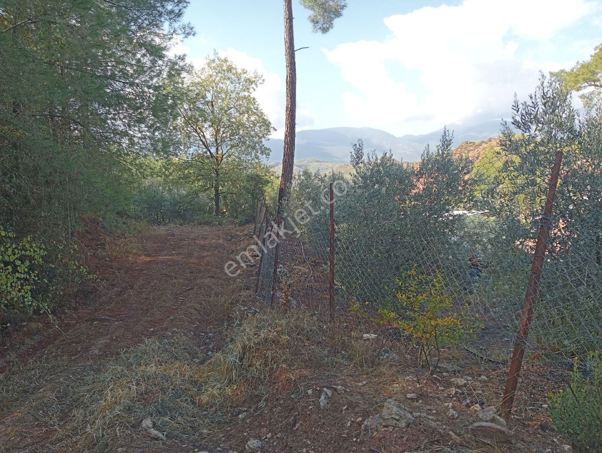 Antalya Kumlucada Satılık Müstakil Bahçe İnceoğlu Emlak - Görsel 11