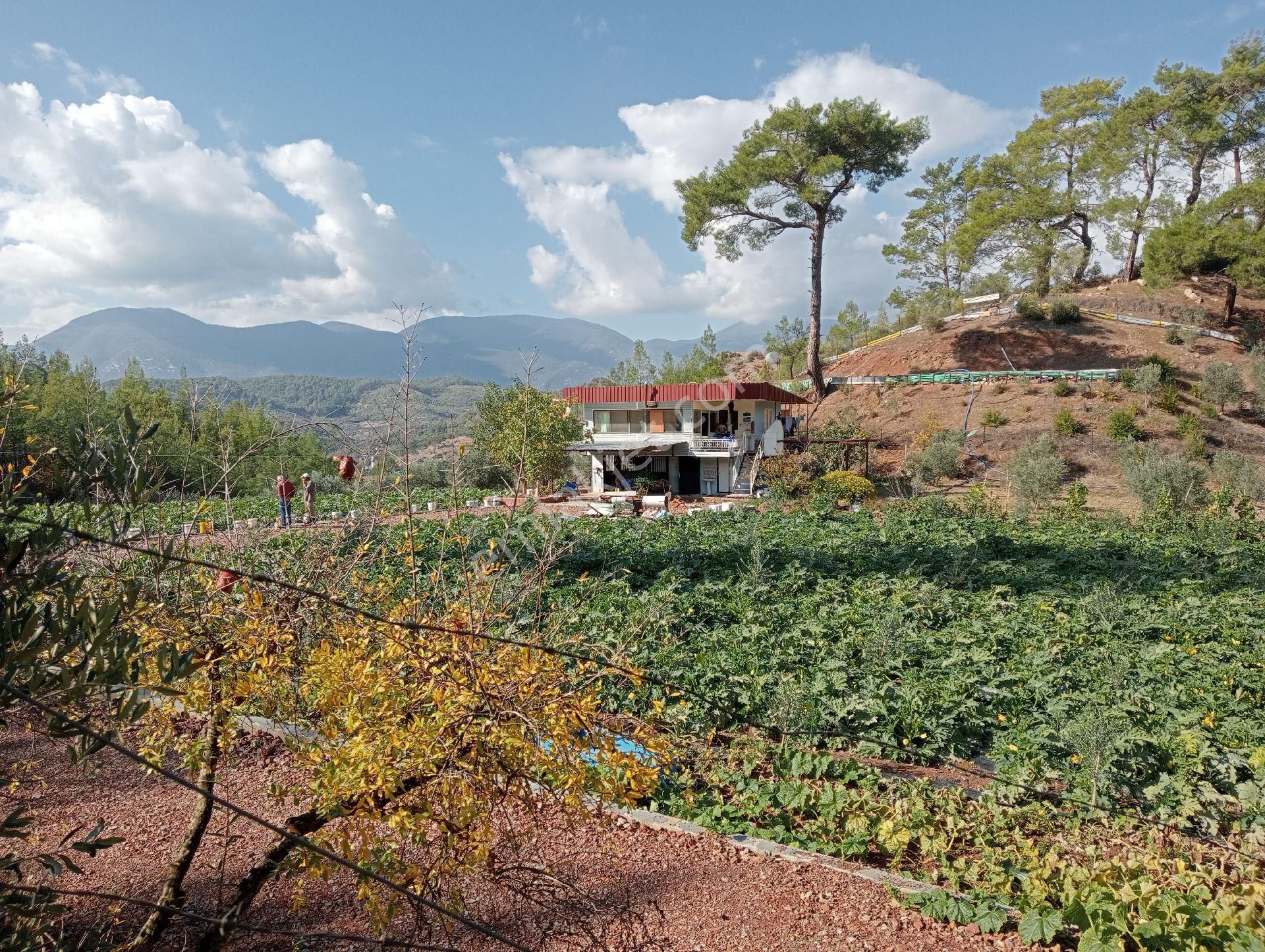 Antalya Kumlucada Satılık Müstakil Bahçe İnceoğlu Emlak - Görsel 6