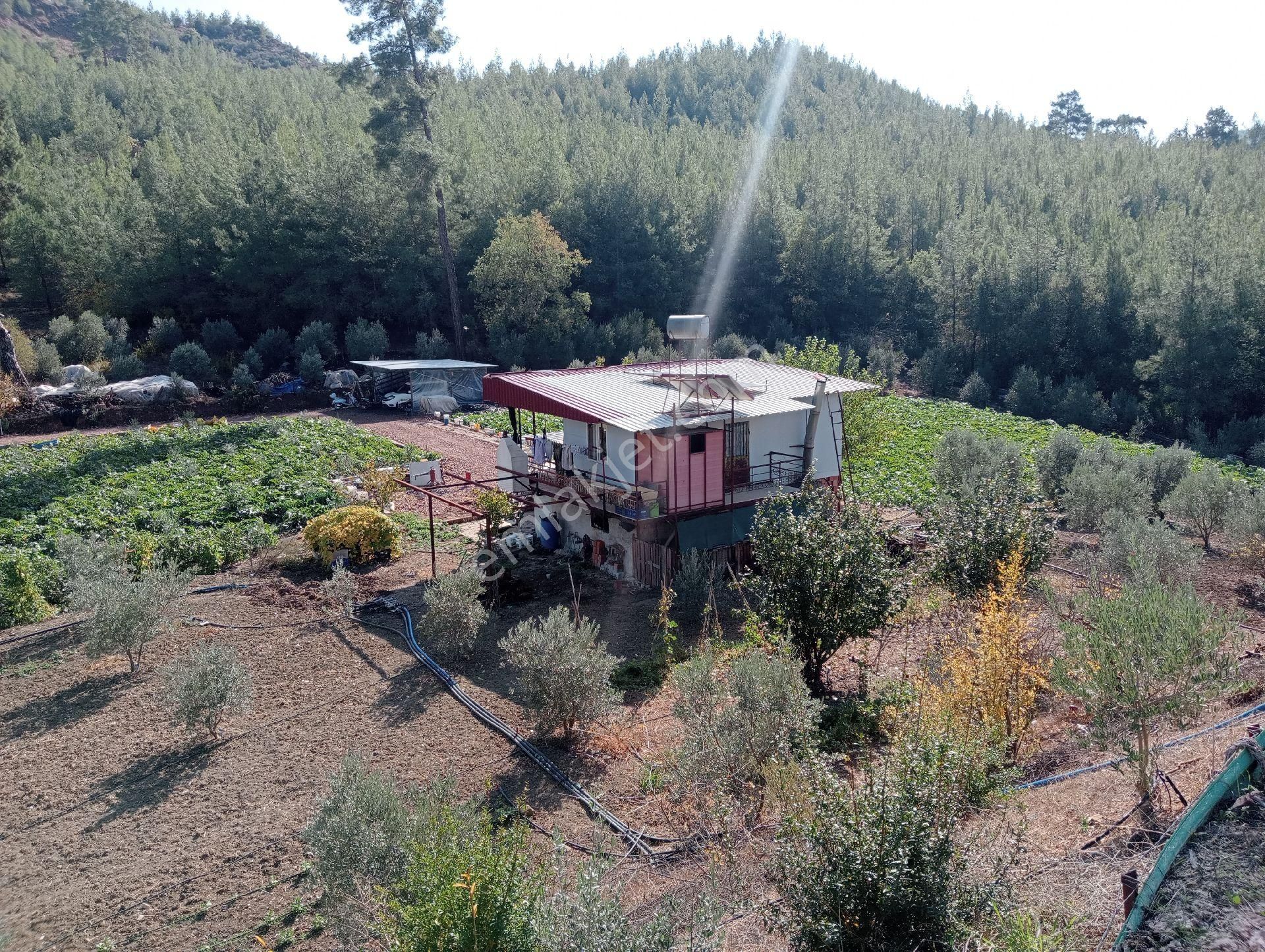 Kumluca Karacaağaç Satılık Tarla Antalya Kumlucada Satılık Müstakil Bahçe İnceoğlu Emlak