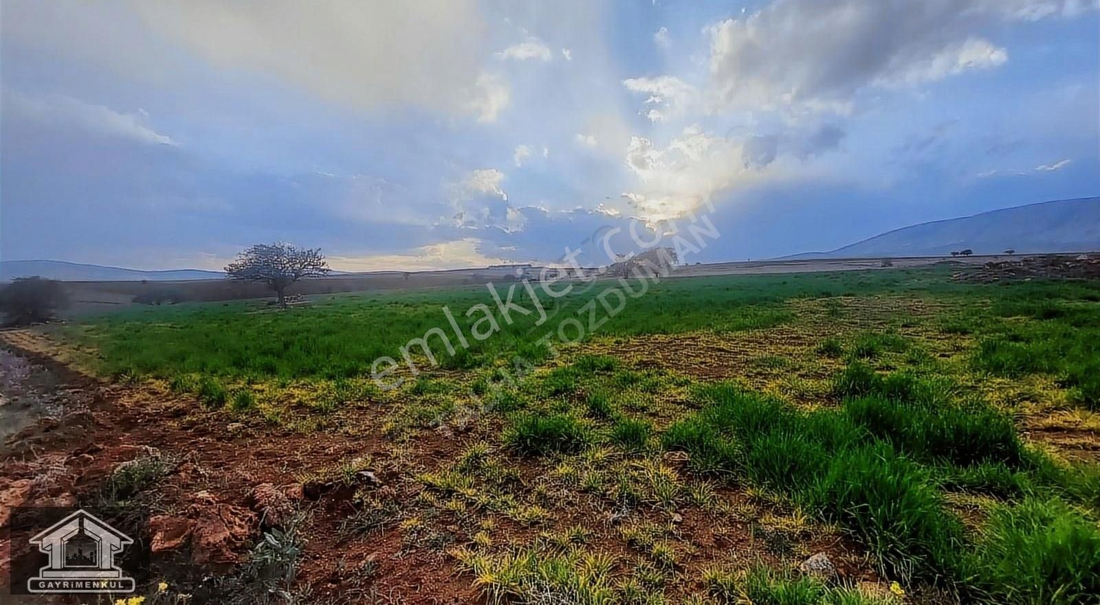 Meram Çayırbağı Satılık Tarla Talha Tozduman'dan Çayırbağında Anayola Yakın/müstakil 15.320 M2