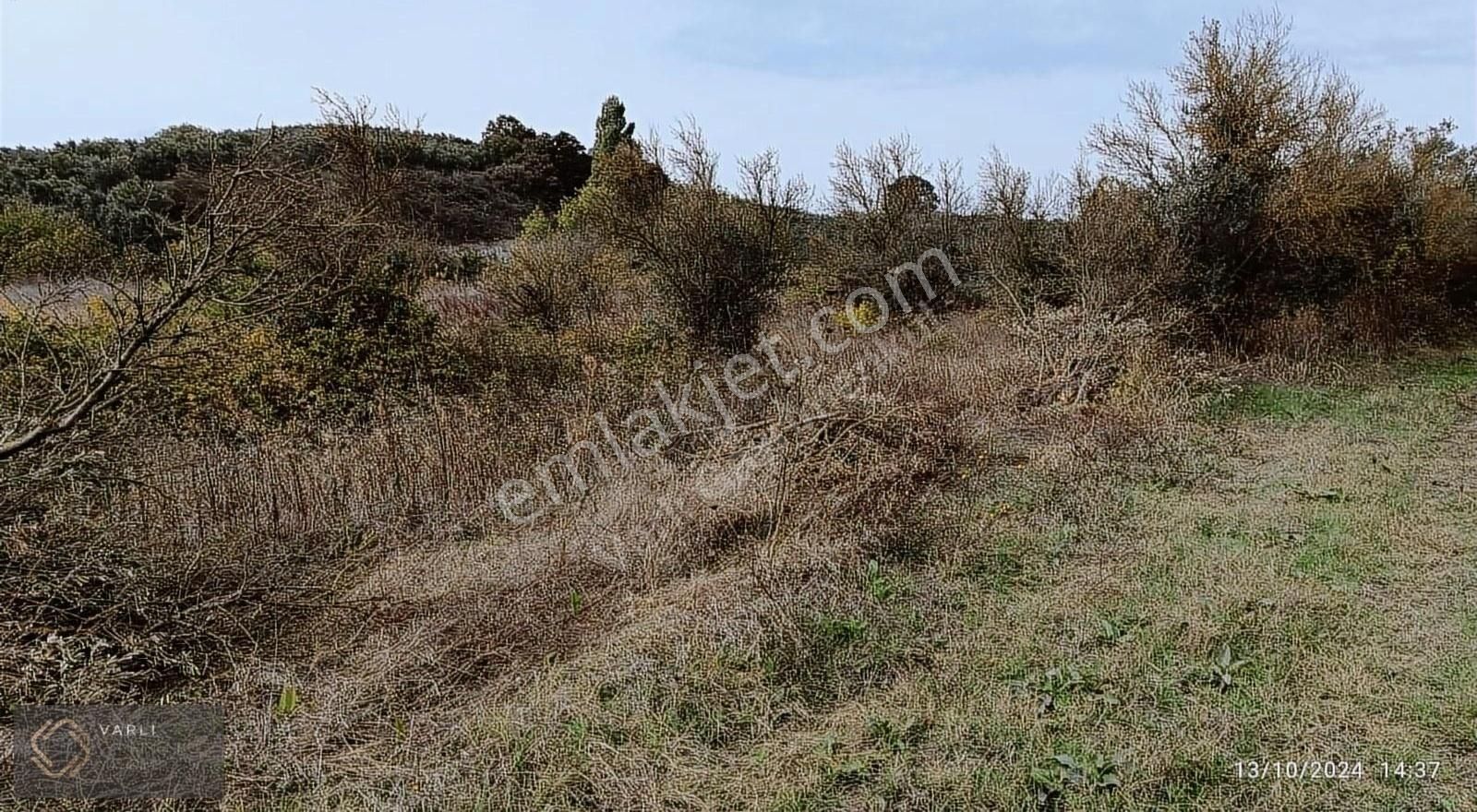 Mudanya Esence Satılık Tarla BURSA MUDANYA ESENCE KÖYÜ SATILIK TARLA