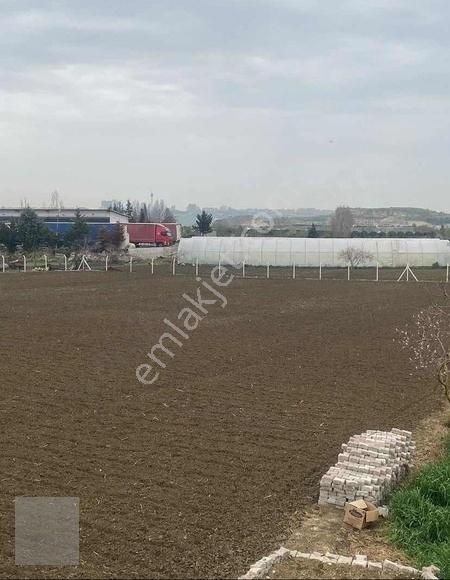 Büyükçekmece Türkoba Satılık Tarla Çatalca Yatırımlık Arsa