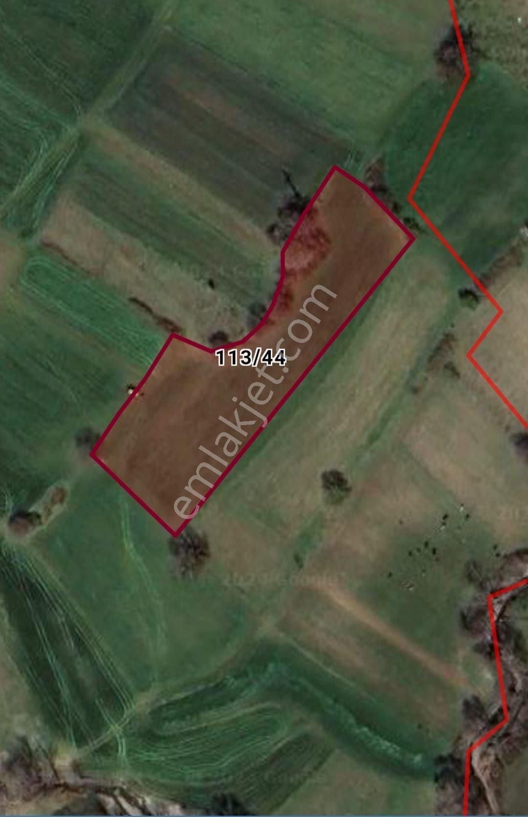 Samsun Atakum Köseli'de 4104 M2 Yatırım Fırsatı: Doğanın İçinde, Şehir Merkezine Yakın Tarla ! - Görsel 6