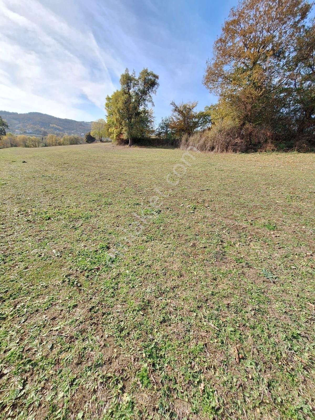 Samsun Atakum Köseli'de 4104 M2 Yatırım Fırsatı: Doğanın İçinde, Şehir Merkezine Yakın Tarla !