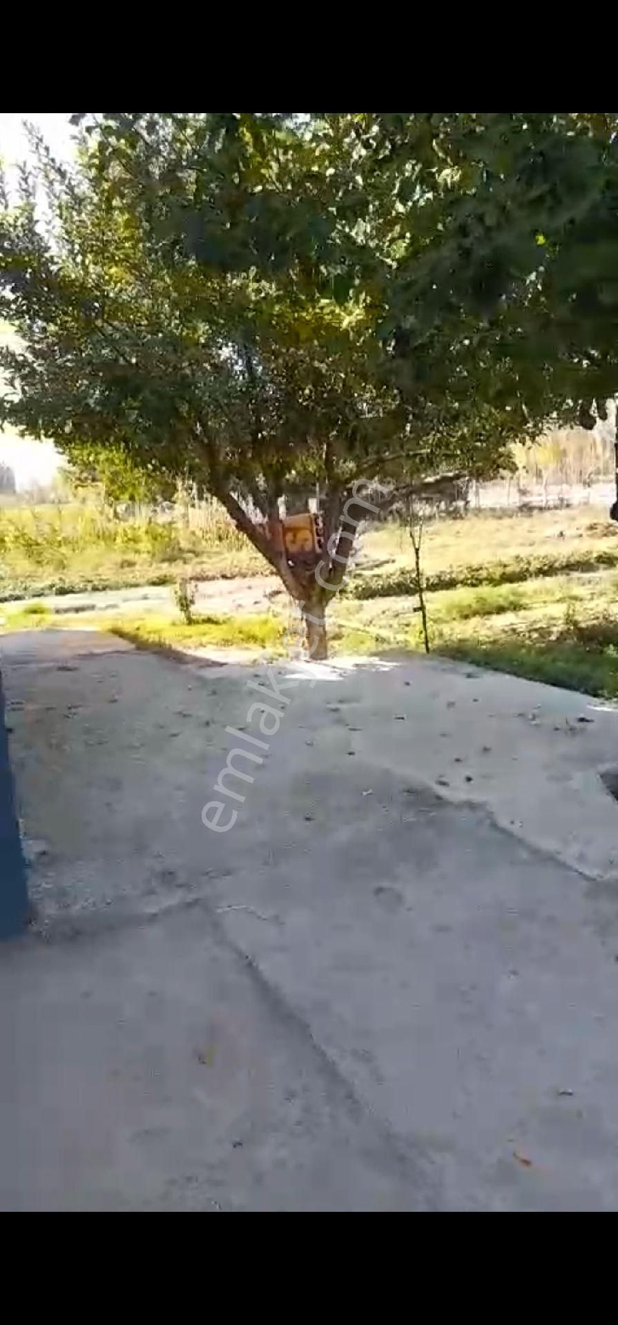 Bostandere De Konya Seydişehir Otoyoluna Cephe Bahçe Evi - Görsel 27