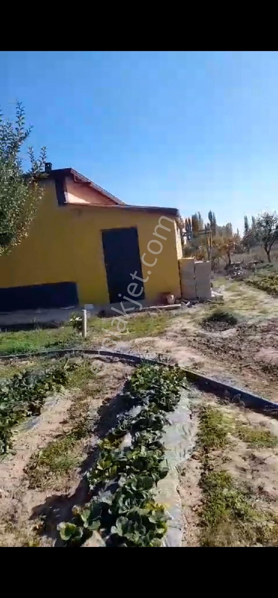 Bostandere De Konya Seydişehir Otoyoluna Cephe Bahçe Evi - Görsel 23