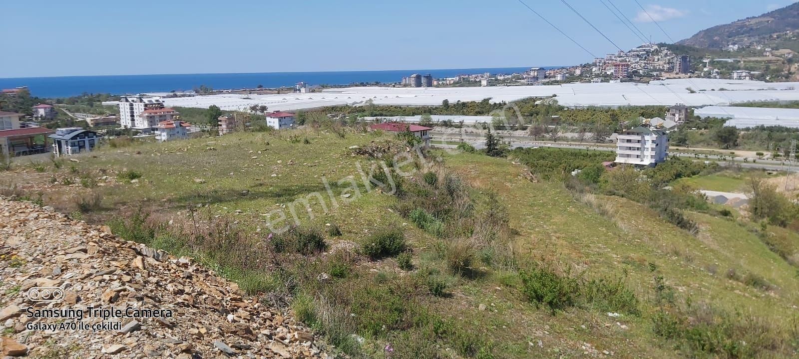 Gazipaşa Pazarcı Satılık Konut İmarlı 🇹🇷 Gazipaşa Pazarcı Mahallesinde Satılık Denize Yakın Arsa