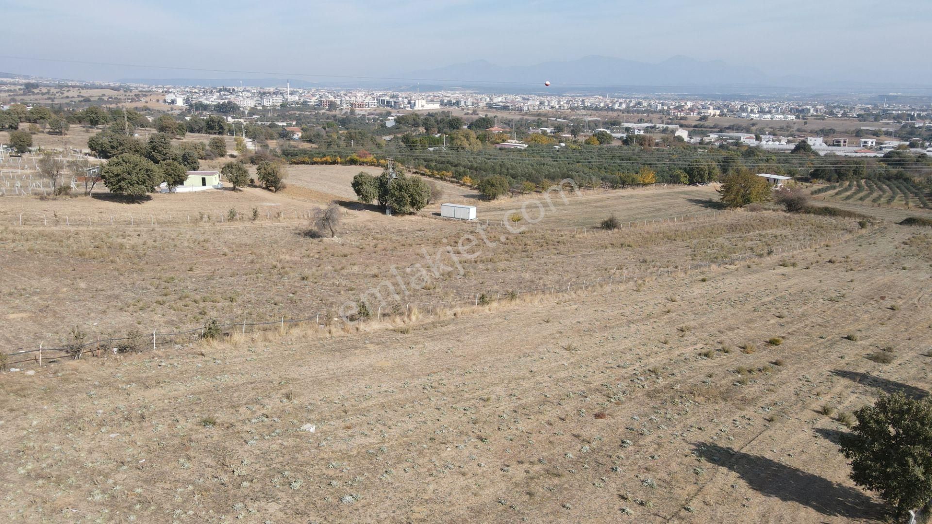 Menderes Dereköy Satılık Tarla İzmir Dereköyde Satılık Manzaralı Tapudan Satış Yatırımlık Bahçeler