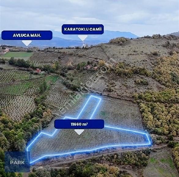 Canik Avluca Satılık Tarla CB PARK ERMAN AKINCI CANİK AVLUCA 11660M2 SATILIK FINDIK BAHÇESİ