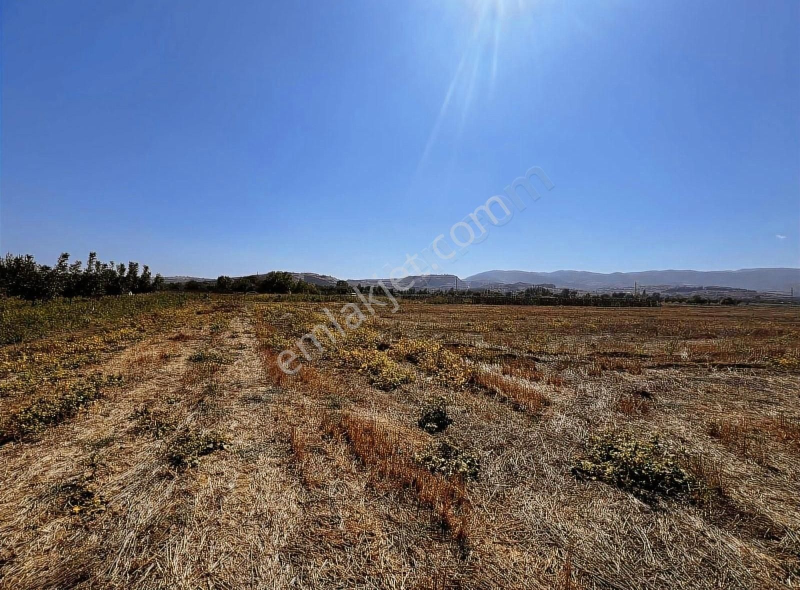 Süleymanpaşa Naipköy Satılık Bağ & Bahçe NAİP TE TEK TAPU ÇOK GÜZEL YERİ DÜZ 2400m2 TARLA