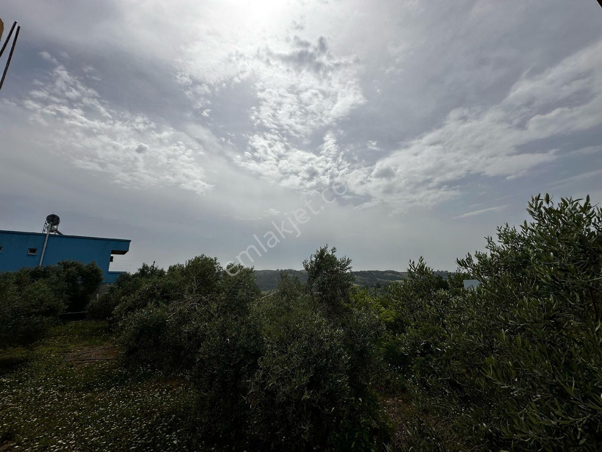 Karahanda İmar Calismasinda - Görsel 32