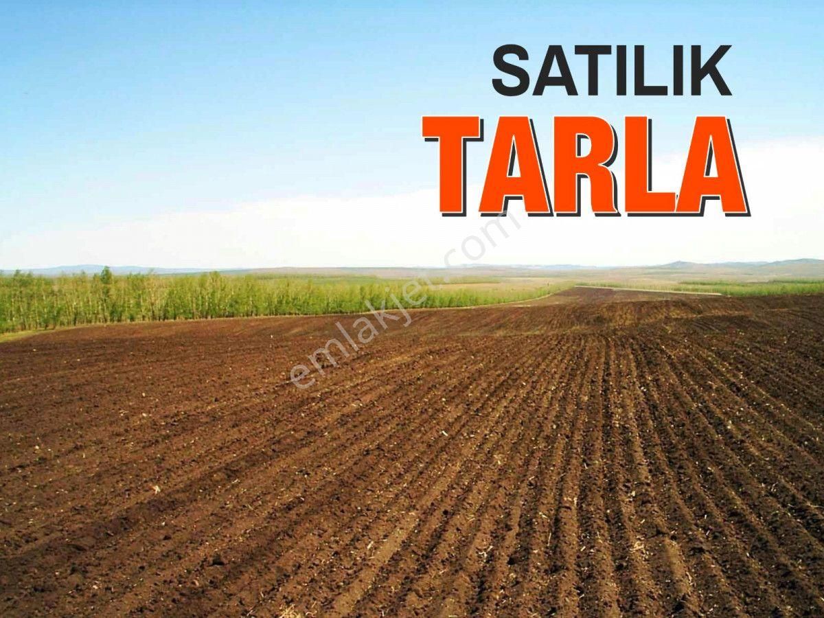 Polatlı Şabanözü Satılık Tarla Polatlı Şabanözü Mahallesinde Ç Ok İyi Konumda Müstakil Tapu Tarla