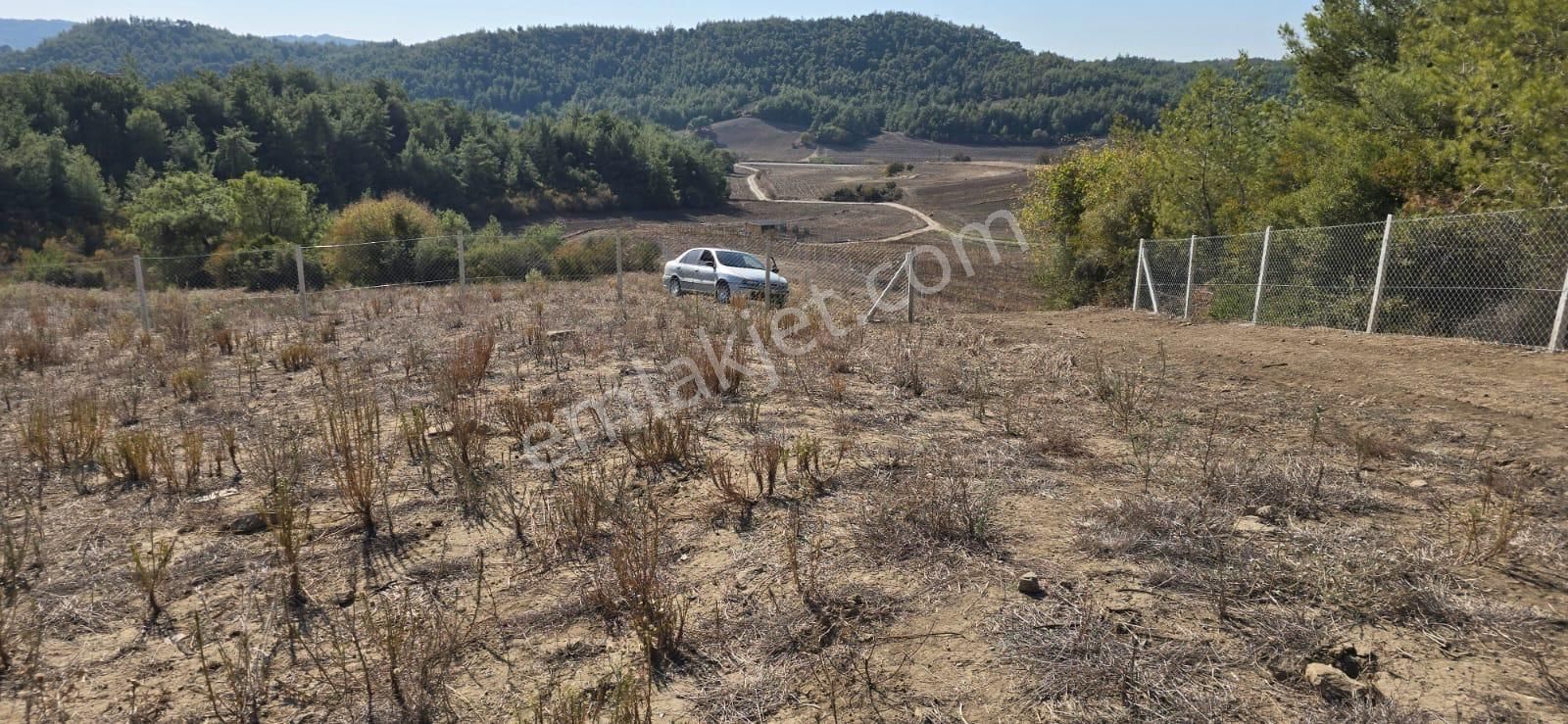 Karaisalı Kuzgun Satılık Tarla SALBAŞ KUZGUN'DA 1.400 M2 HOBİ BAHÇESİ