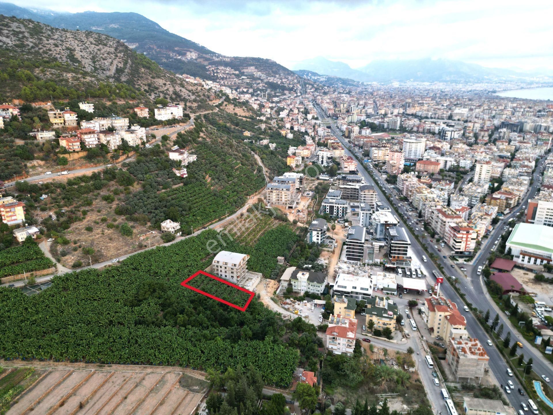 Alanya Dinek Mevkiinde Kiralık 800 M2 İmarlı Arsa - Görsel 9