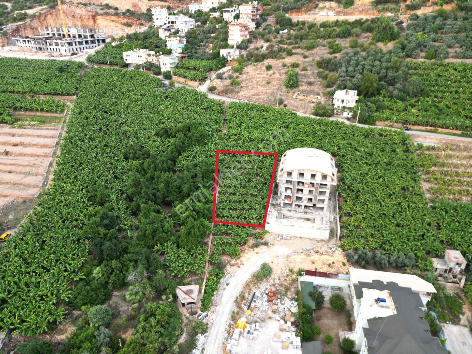 Alanya Dinek Mevkiinde Kiralık 800 M2 İmarlı Arsa - Görsel 12